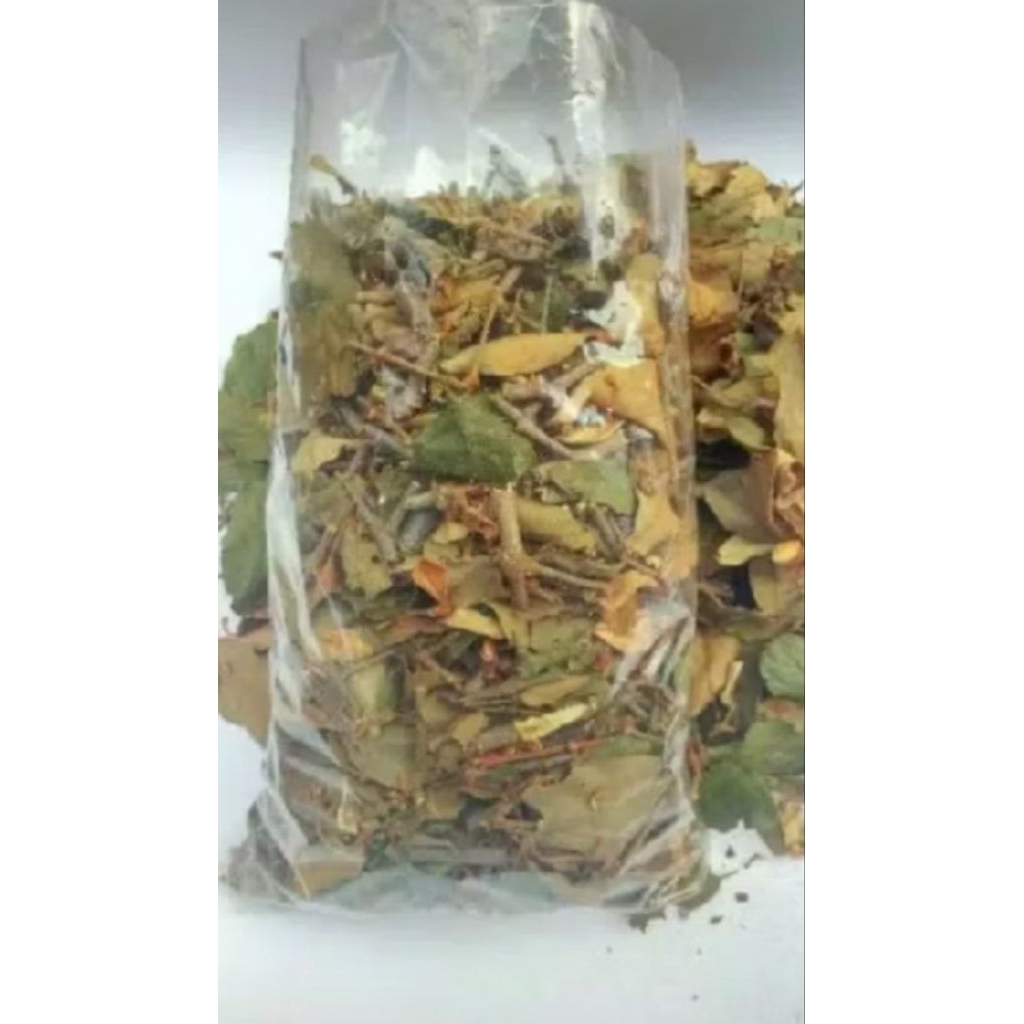

Benalu Mangga Kering Per 500Grm Obat Herbal Menurunkan Tekanan Darah Tinggi
