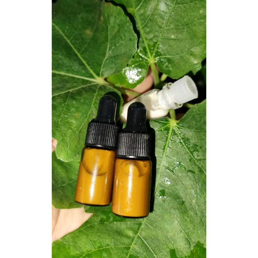 Getah buah tin fresh petik bisa COD