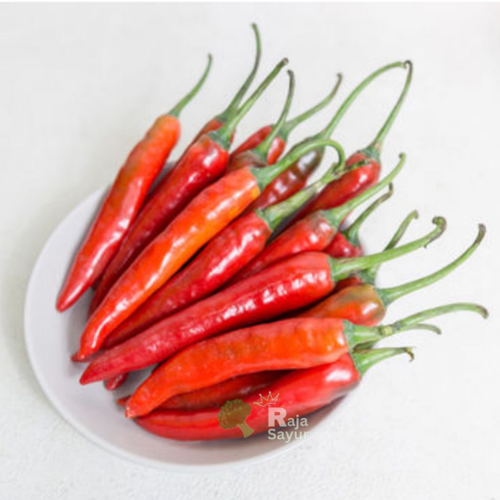 

cabai merah besar fresh