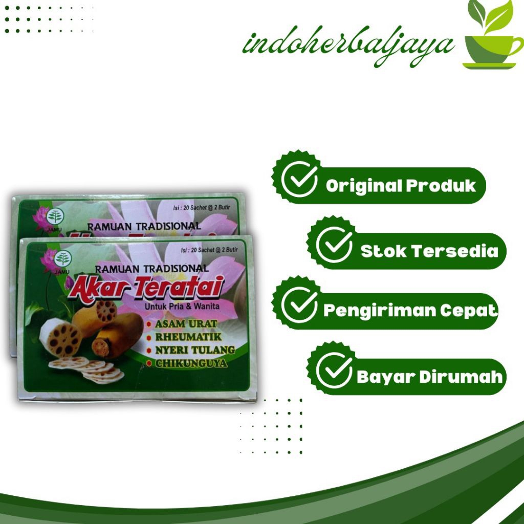 

Akar Teratai Obat Asam Urat Pegalinu 100% Asli