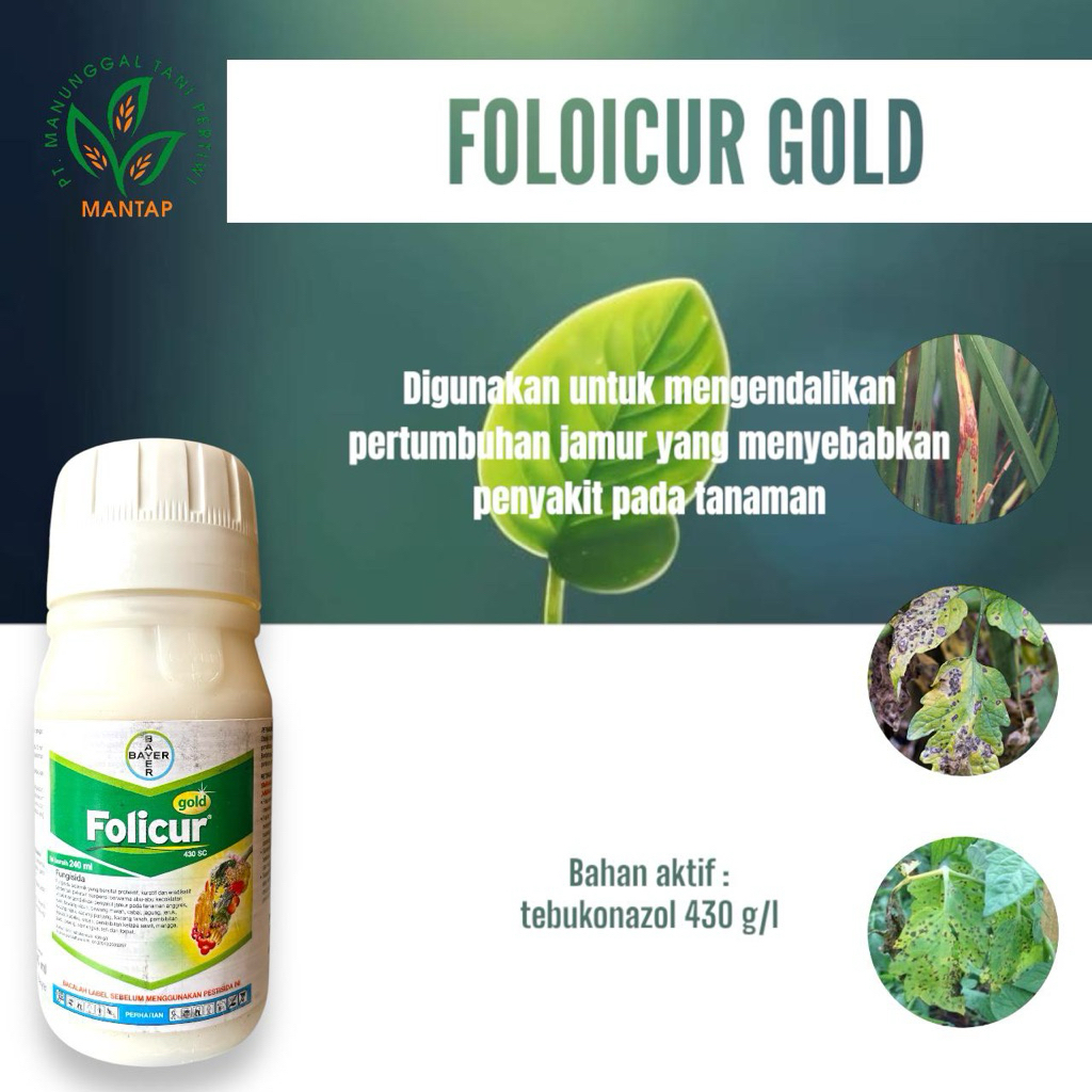 FOLICUR GOLD 240ml