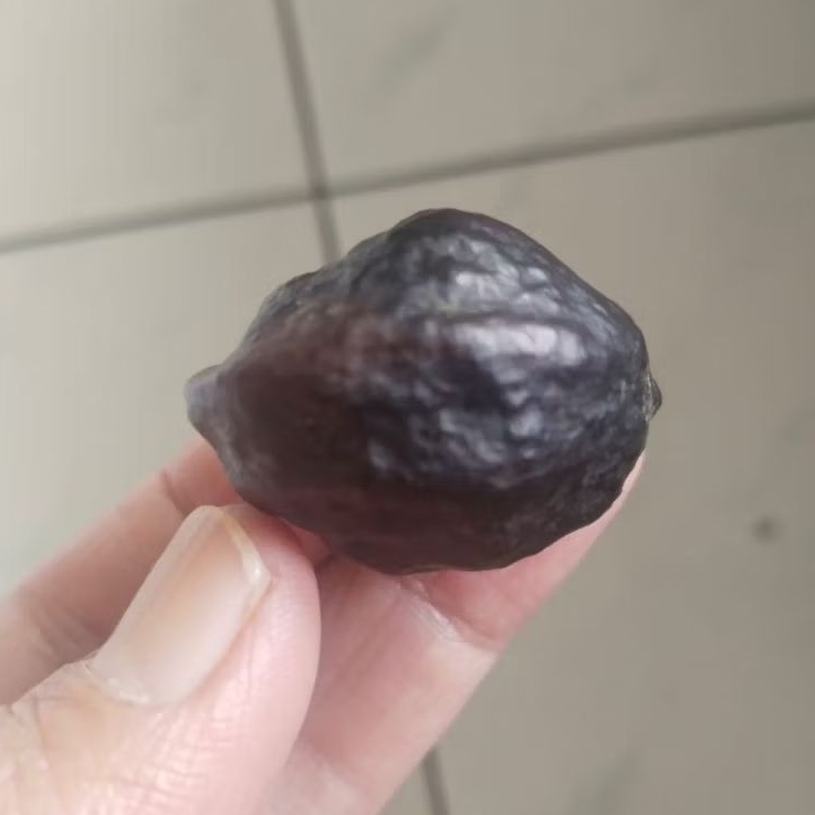 Kemiri Adu Muncang Adu Jayanti Jelita Paguron Urgen Matang