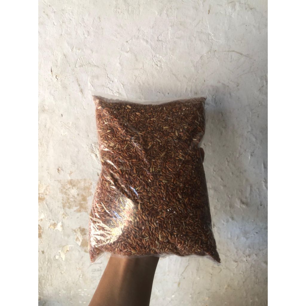 Beras Merah Pakan Ayam