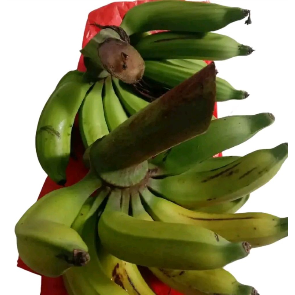 

pisang nangka manis dan pulen 1kg