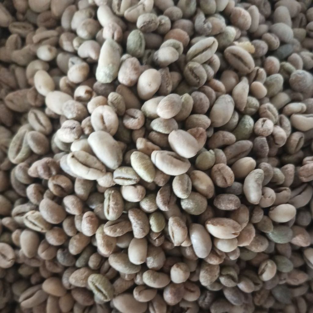 

greenBean lanang sekincau 1kg