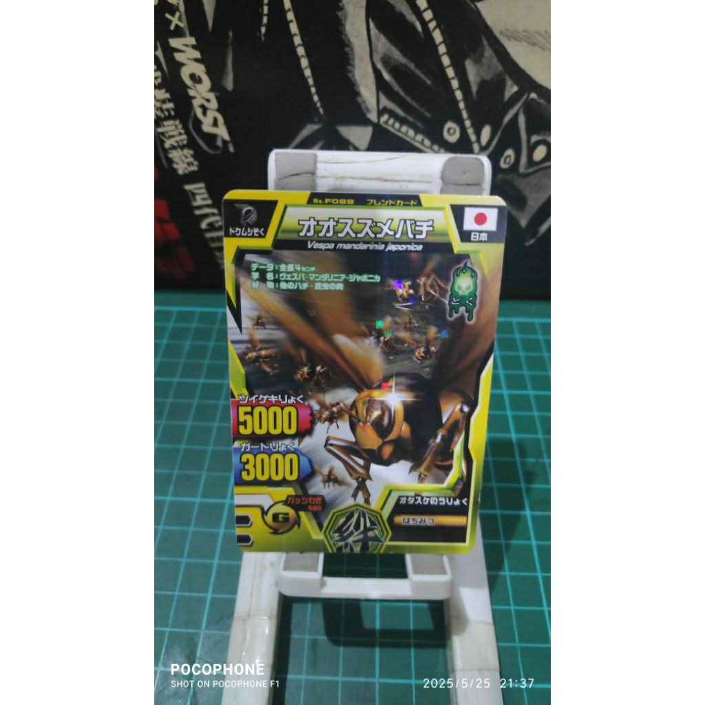 kartu animal kaiser friend giant hornet #2 japan card