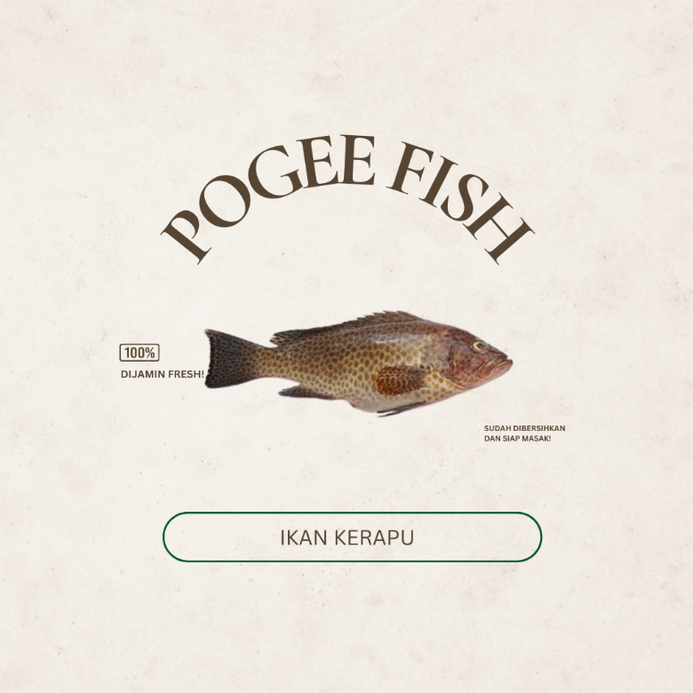 

Pogee Fish Ikan Kerapu Fresh dan Frozen Ikan Kerapu Jimbaran