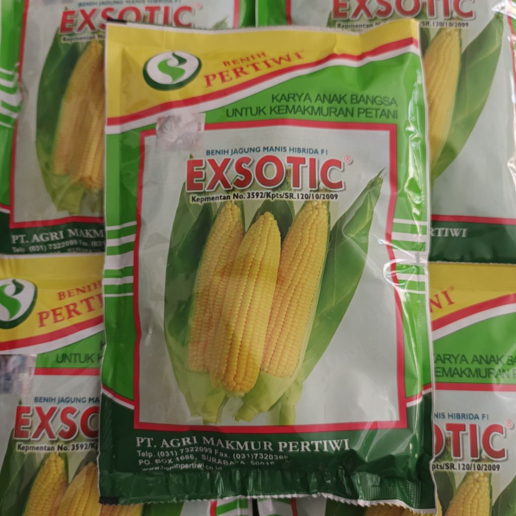 benih bibit jagung manis pertiwi exotic 250gr