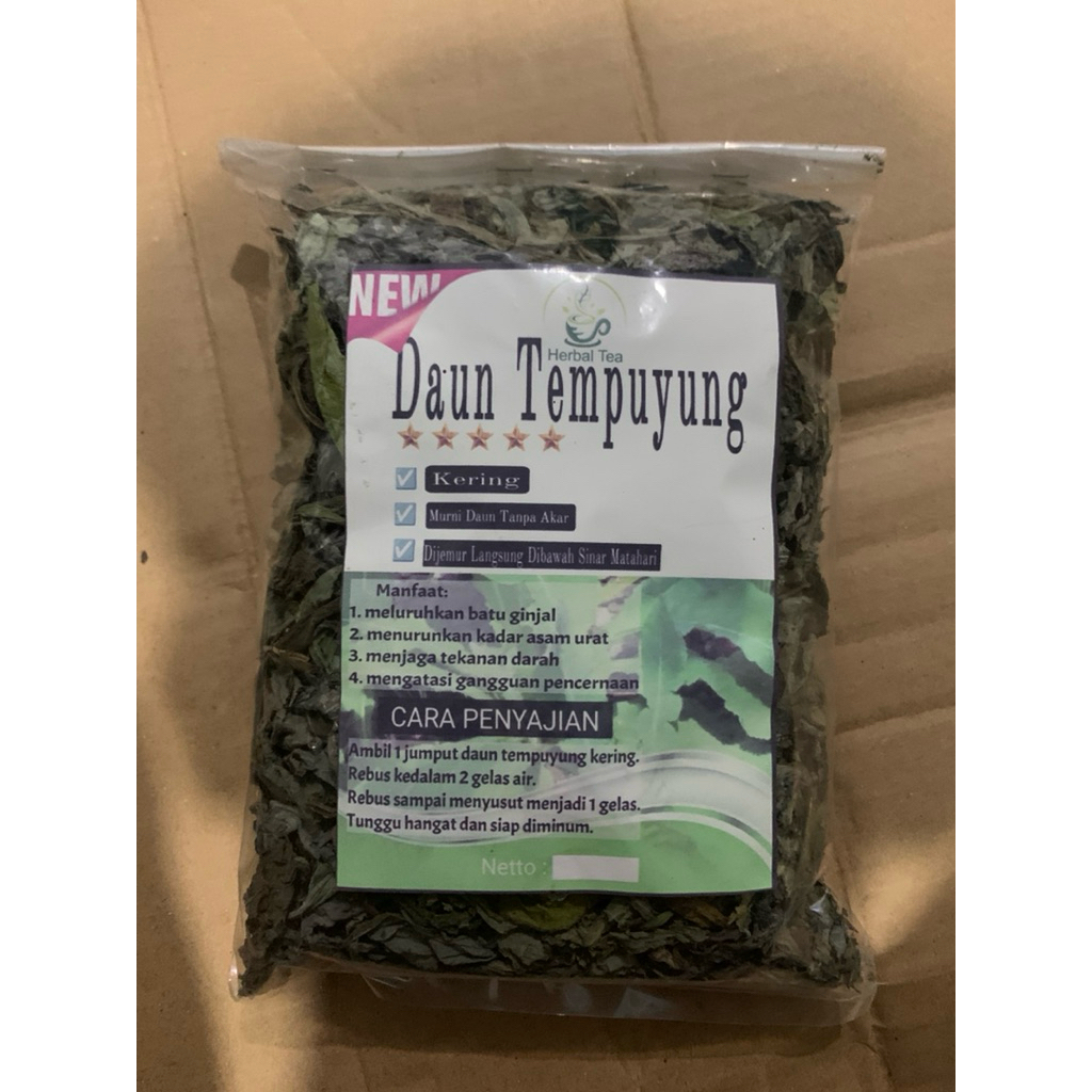 

Daun tempuyung kering tempuyung daun herbal alami paket per 100grm