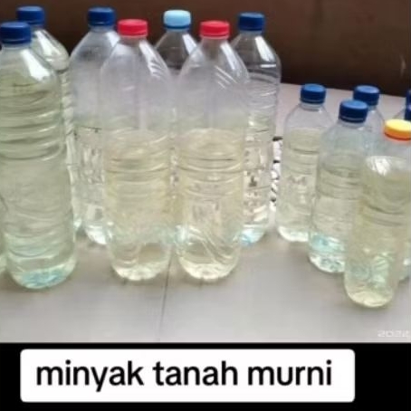 

minyak tanah murni