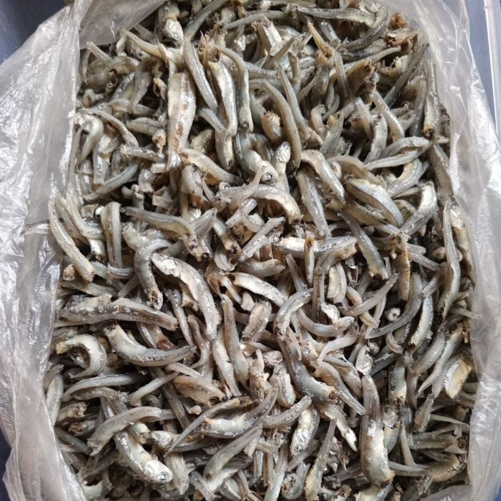 

Teri Buntio grade A 500 gr