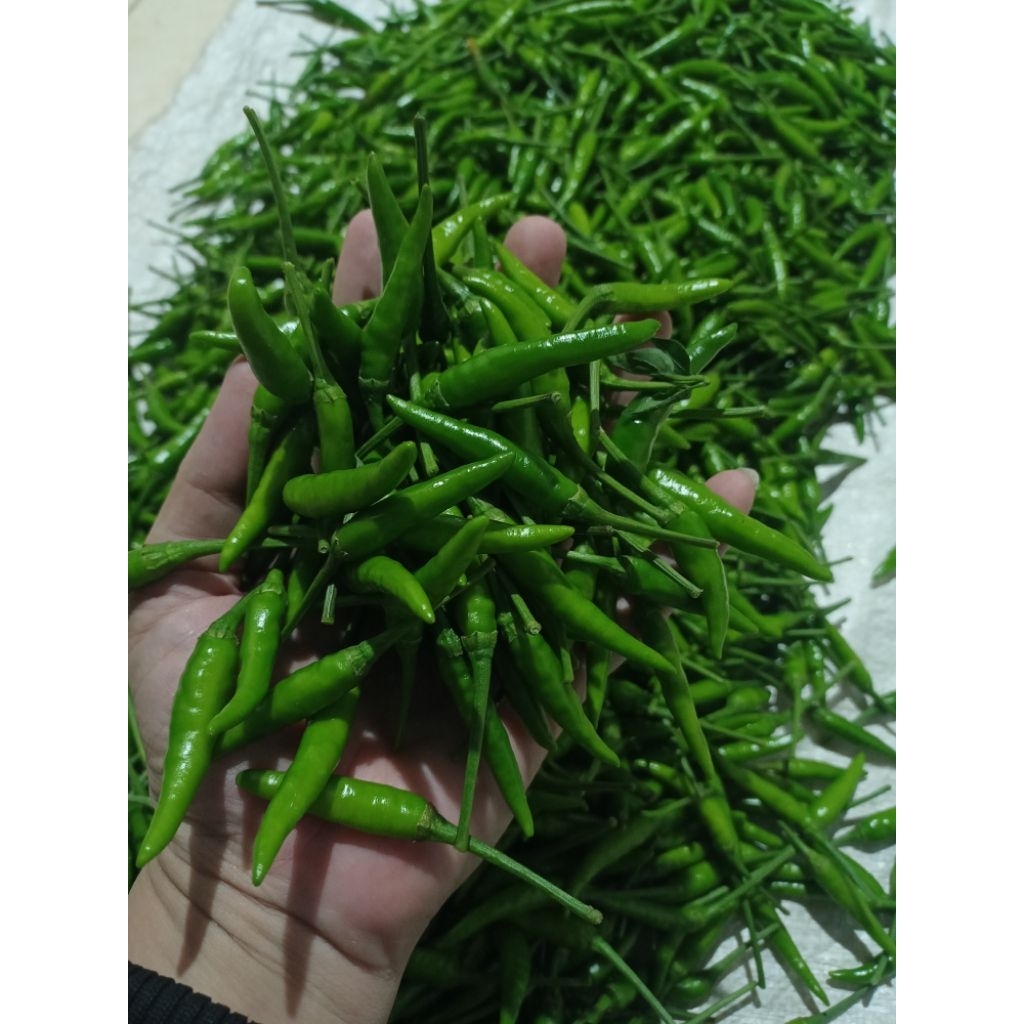 

Cabe Rawit Hijau Fresh 500gr
