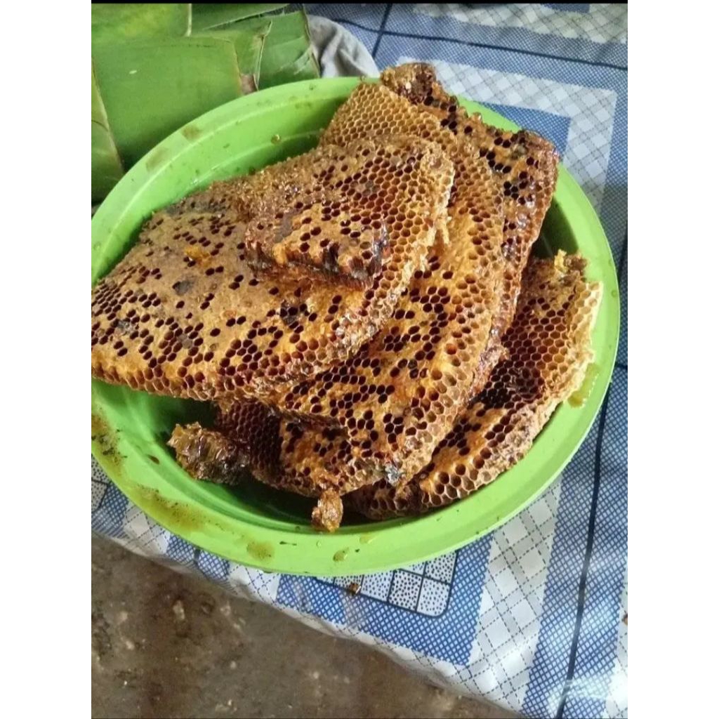 

sarang lebah atau telur lebah asli termurah (500grm)