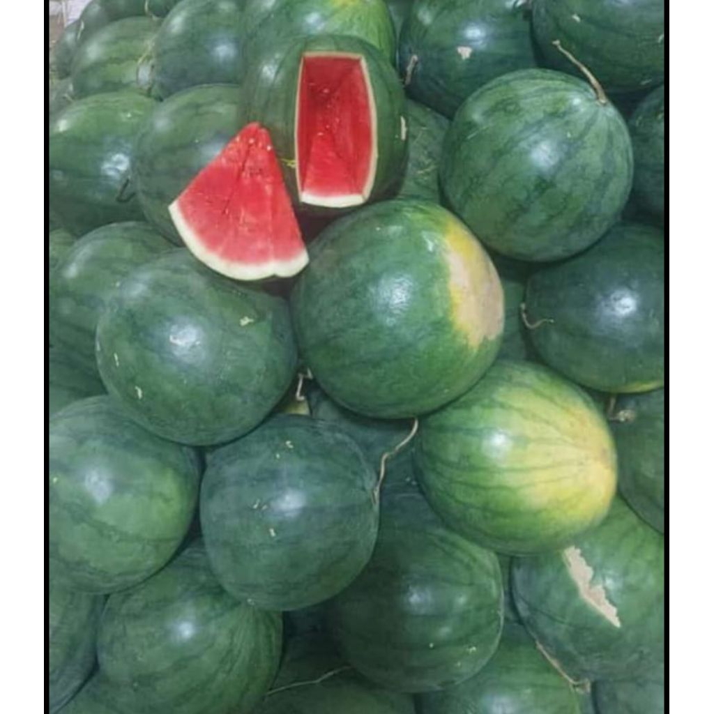 

semangka merah (non biji) harga per buah