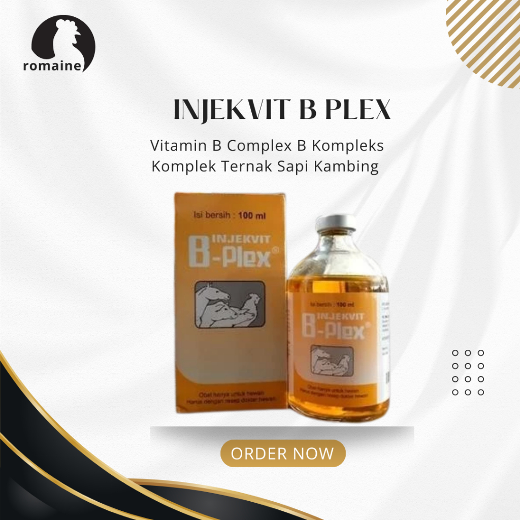 INJEKVIT B PLEX Vitamin B Complex B Kompleks Komplek Ternak Sapi Kambing BERKUALITAS