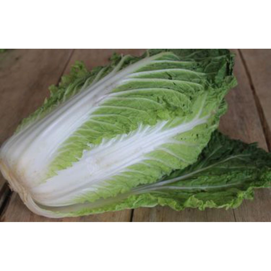 

Sawi Putih Fresh Segar Ukuran 400g/500g/1Kg