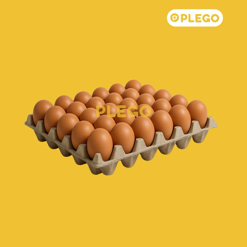 

Telur Ayam Negeri Kualitas Tinggi 1 Tray