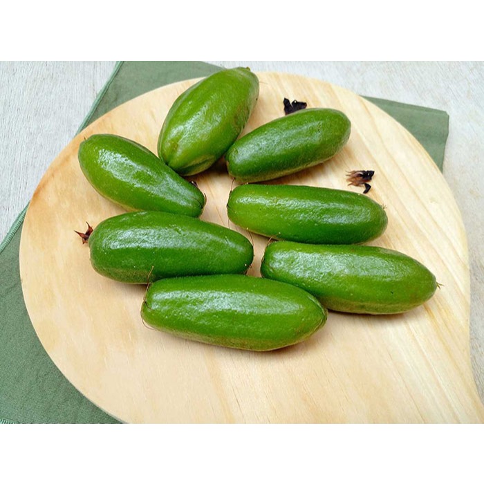 

Belimbing Wuluh Fresh Petik langsung dari Pohon 120 Gram, TERMurah Makassar