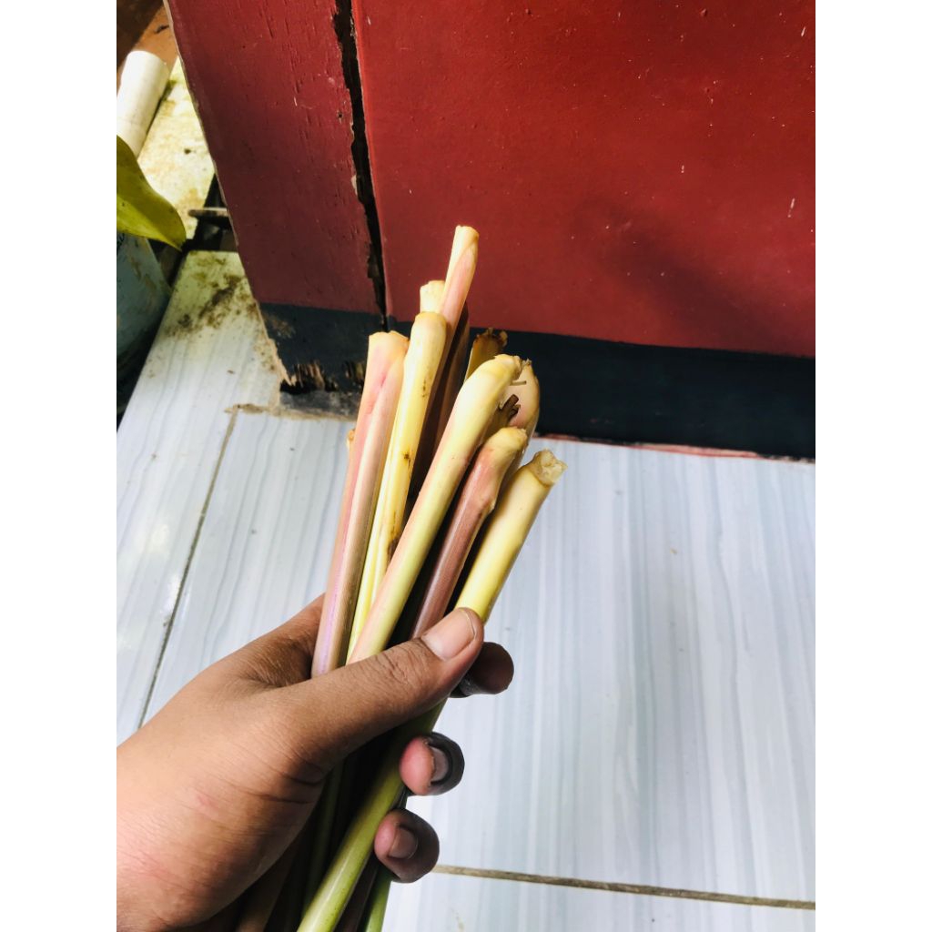 

Sereh wulung segar di jual per 1ikat