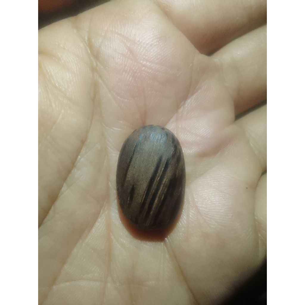 mata cincin galih kayu Pucang Kalak original