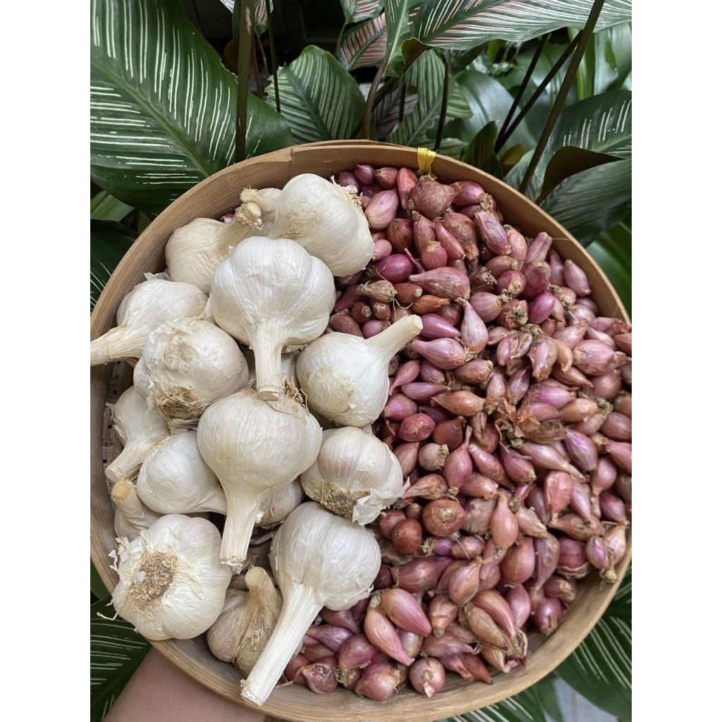 

(1000gr) paket bamer kecil 750gr + baput kating 250gr (C)