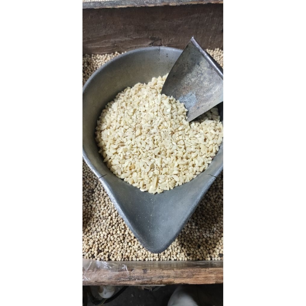 

KEMIRI MENIR /BUMBU MASAK/REMPAH REMPAH