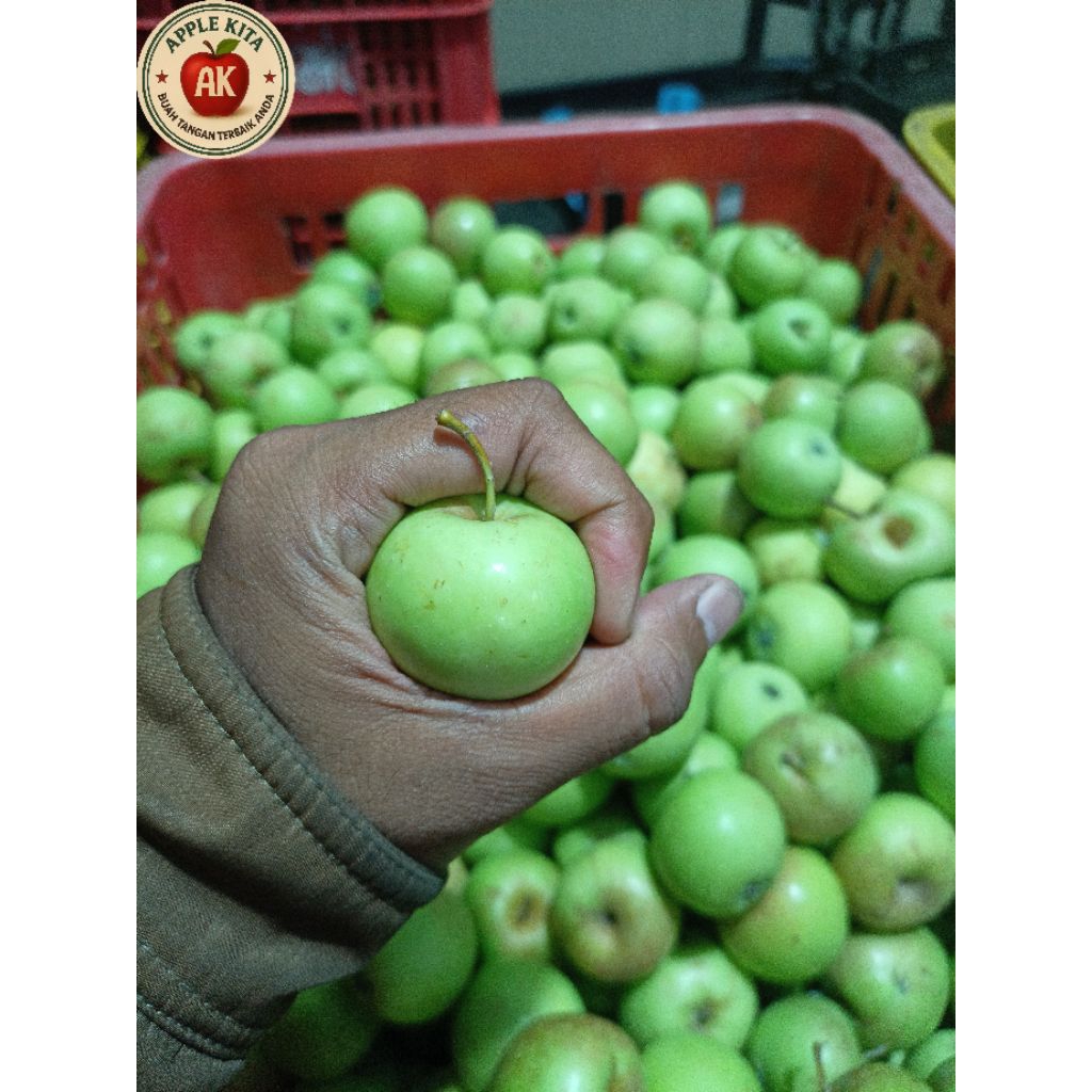 

Apel Batu Malang Jenis Manalagi Mini 1 Kg isi 23-28 Biji