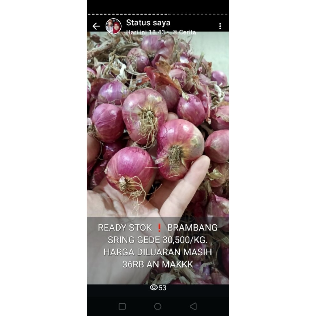 

Bawang Merah (Brambang) 1kg