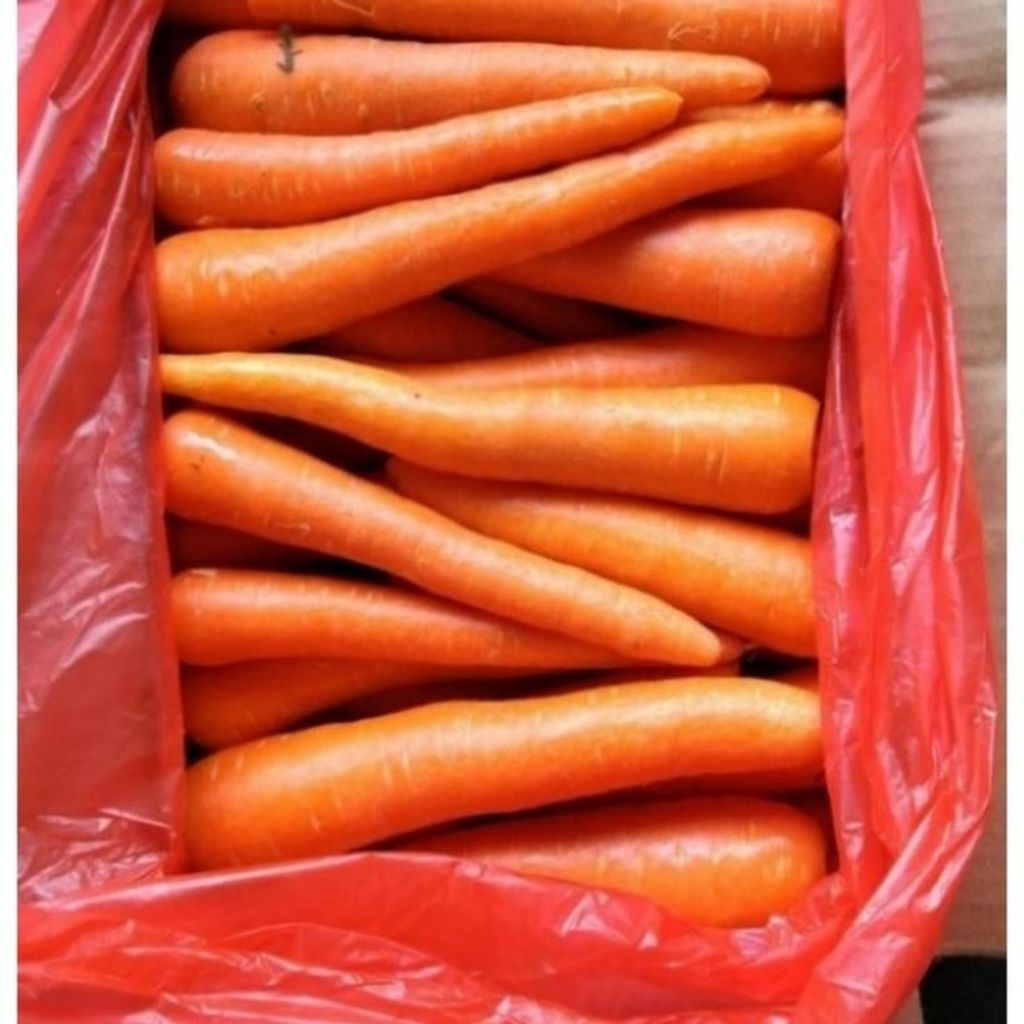 

WORTEL BRASTAGI/WORTEL IMPOR 1 DUS