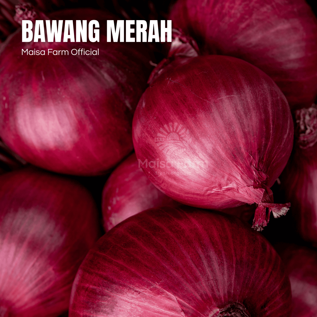 

Maisa Farm Cikarang - Bawang Merah 250 gram segar