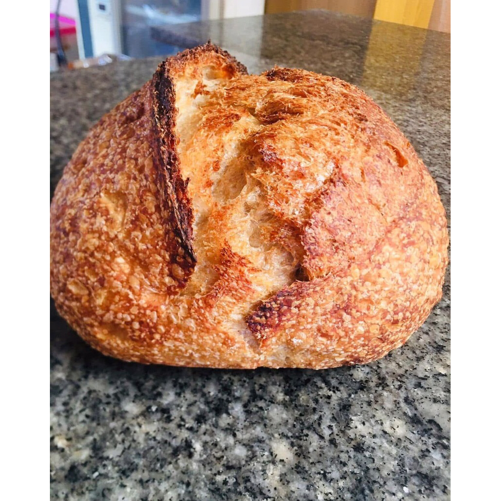 

Sourdough Wheat Brand Rustic Bread ( kulit gandum )