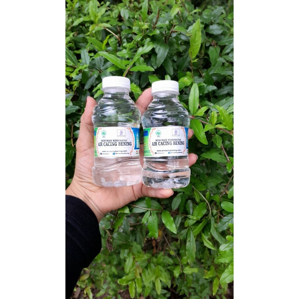 

AIR CACING BENING TERMURAH GROSIR 200ml