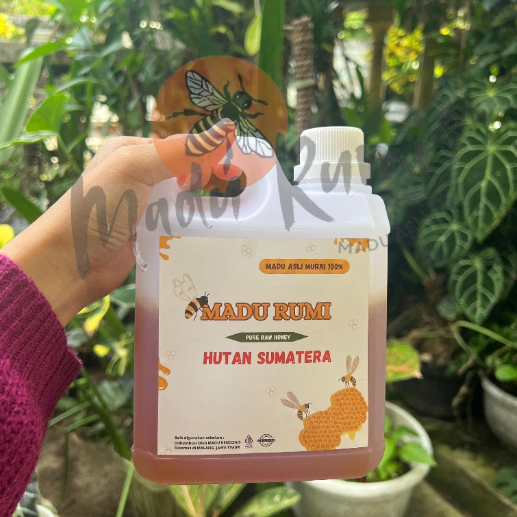 

Madu Rumi Madu Asli Murni Madu HUTAN SUMATERA