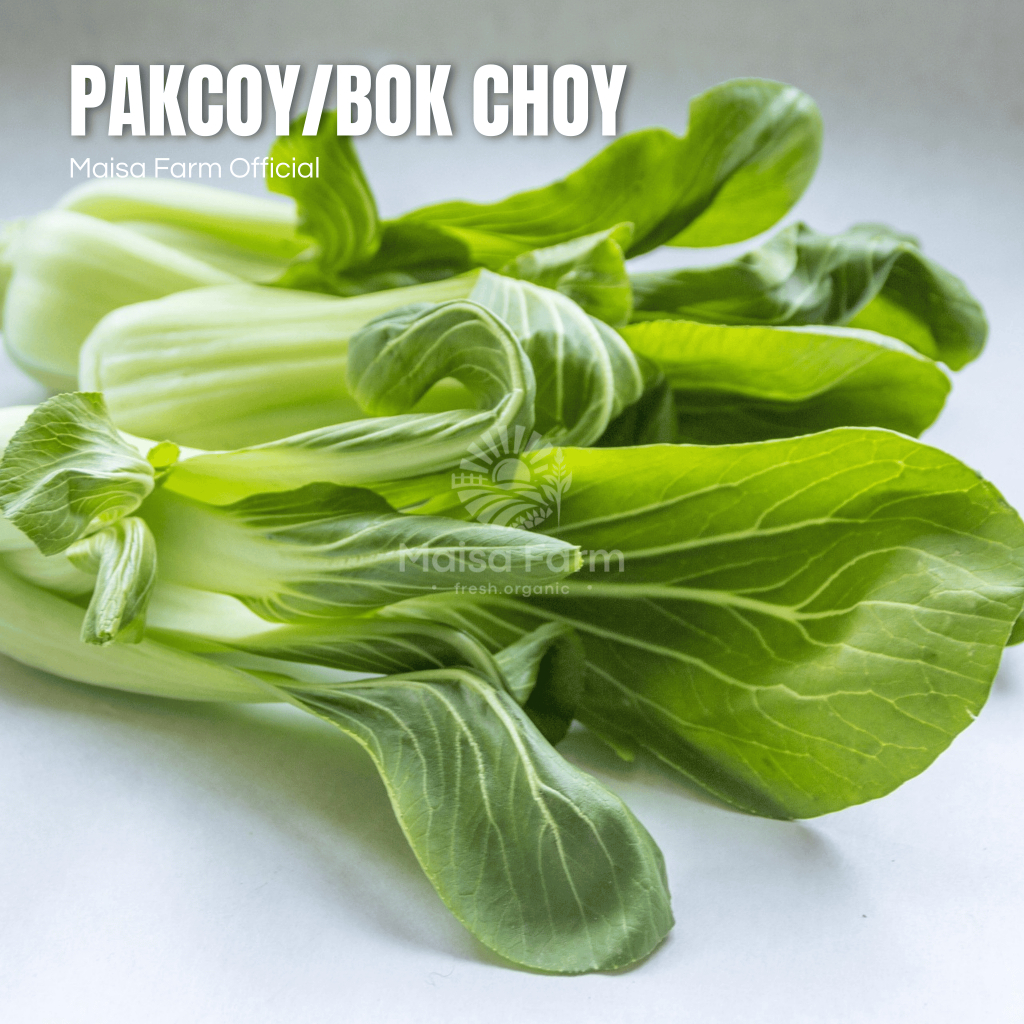 

Maisa Farm Cikarang - Sayur Pakcoy Organik 250 gram segar