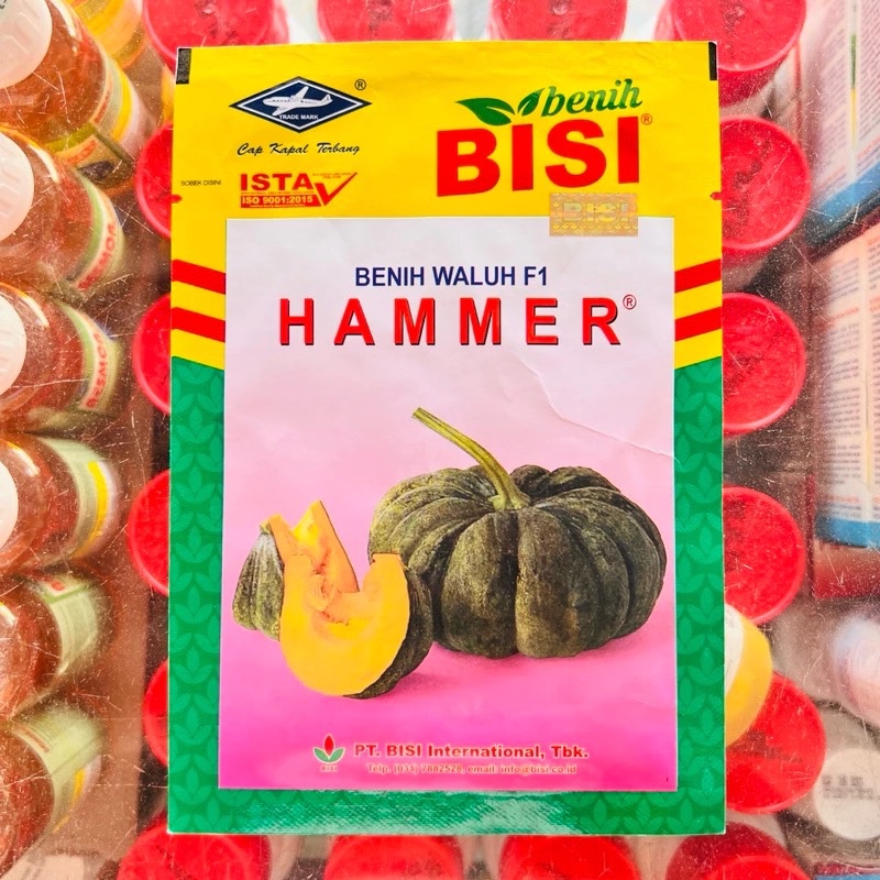 Benih Waluh Hammer F1 10gram Cap Kapal Terbang / Hammer