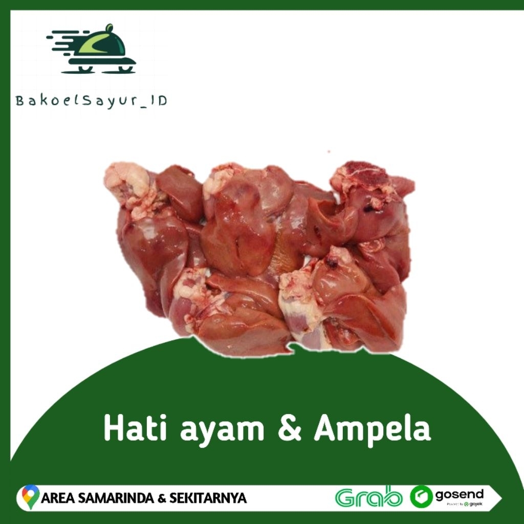 

Hati Ampela Ayam 5 pcs