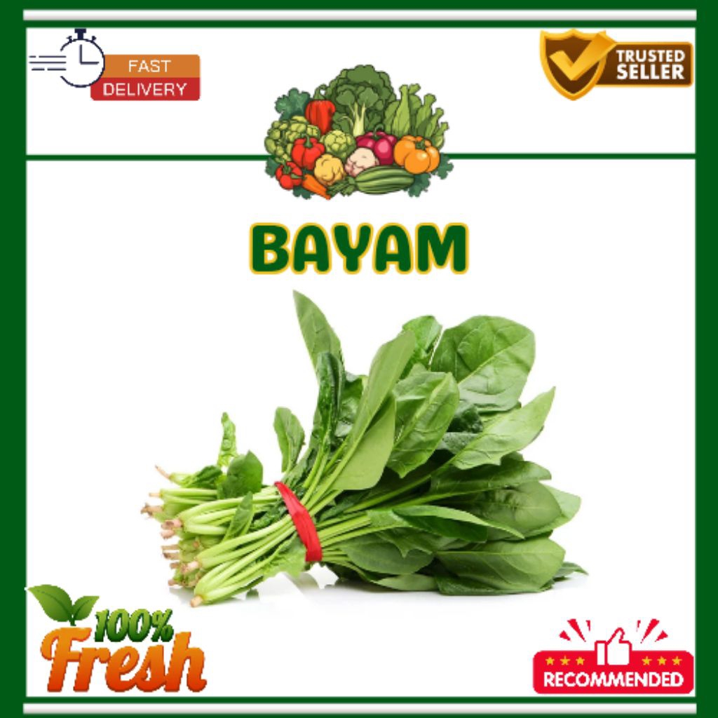 

KIRIM INSTAN Sayur Bayam 1 Ikat