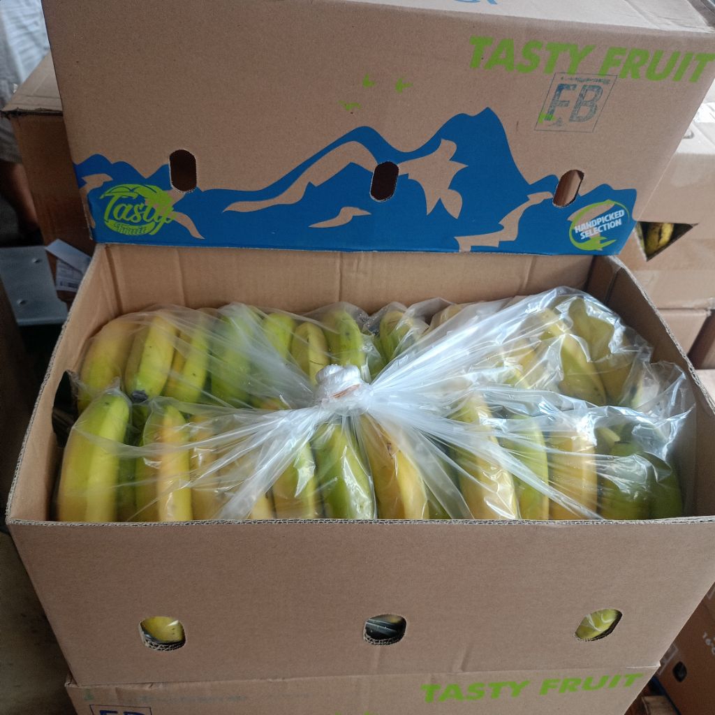 

pisang cavendish harga kardus berat 13kg