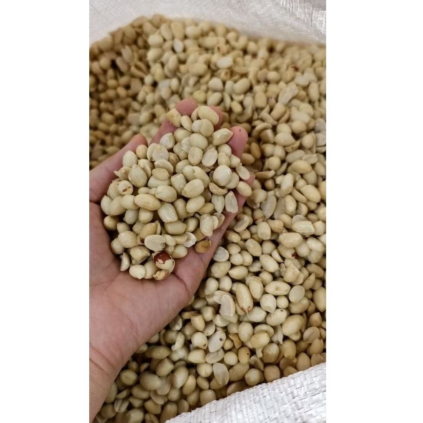 

kacang tanah kupas mentah / kacang kupas 100 gr
