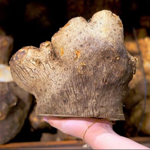 

UMBI UWI 1KG/UWI TUBANMANIS /UWI PUTIH PULEN MANIS/UBI UWI SEGAR/MAKANAN TRADISIONAL/MAKANAN LANGKA/