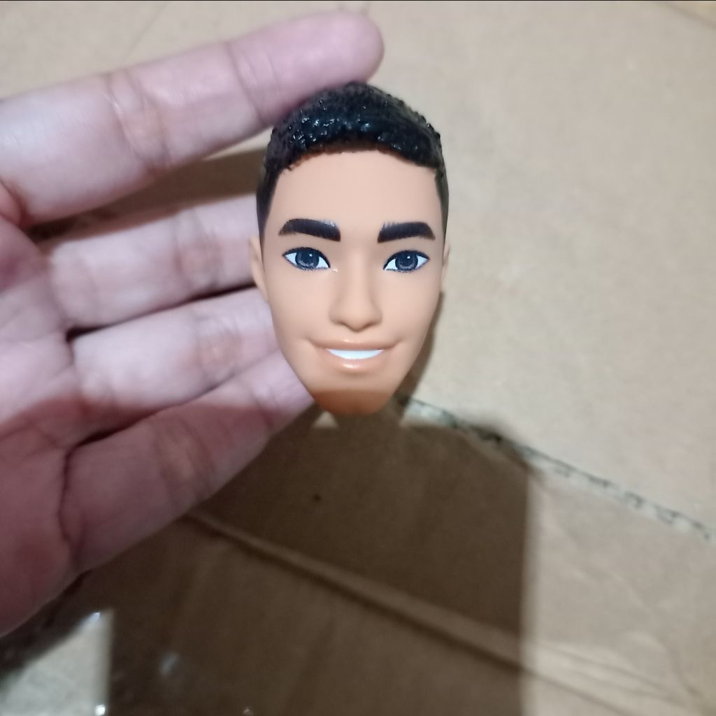 Kepala Barbie Ken Fashionistas 236