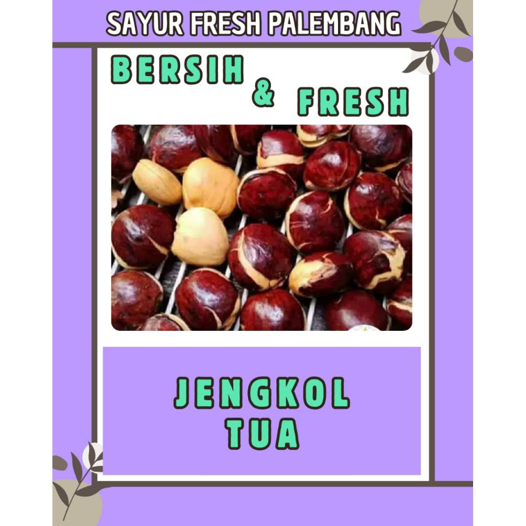 

JENGKOL TUA - PALEMBANG