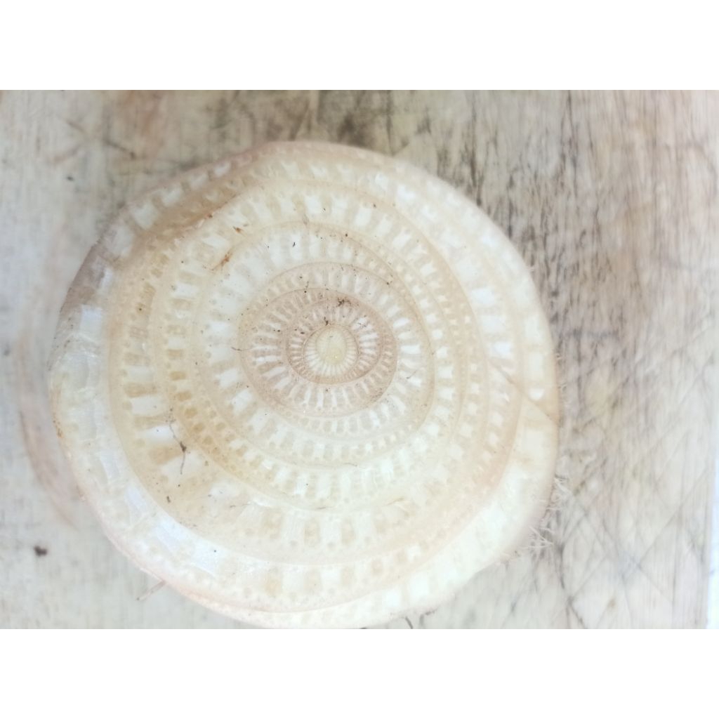 

Umut pisang kepok kupas bersih 1 kg