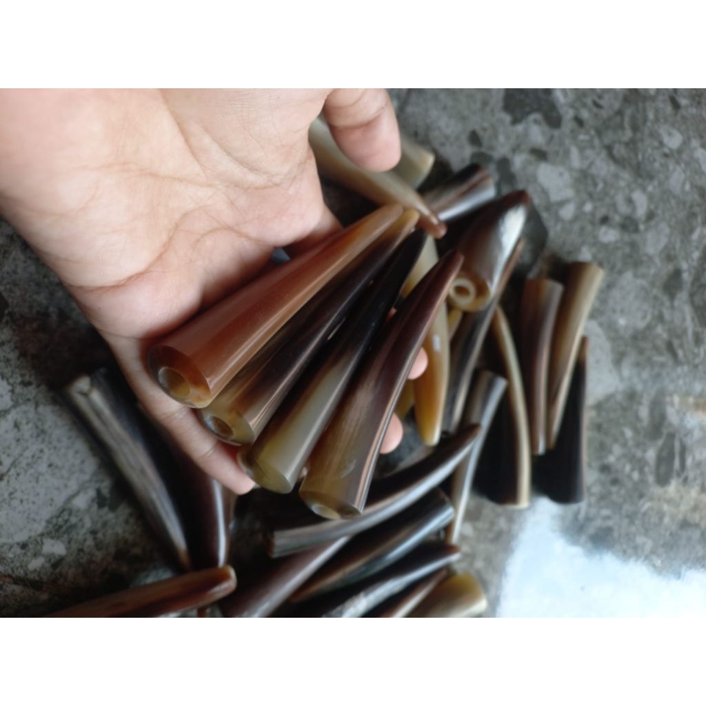 Once Padud Tanker Bule / Piprok Tanker Bule