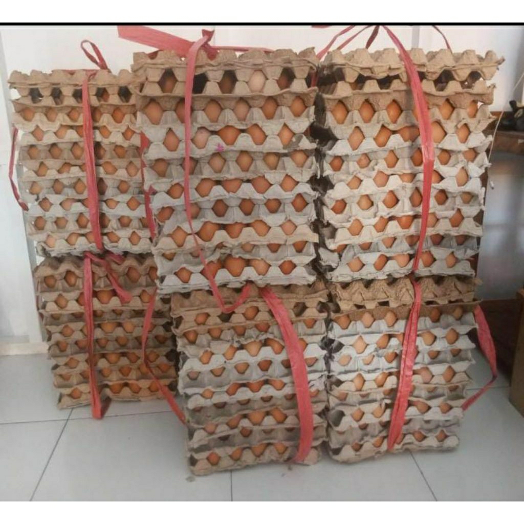 

TELOR AYAM 1KG (16-18 butir)
