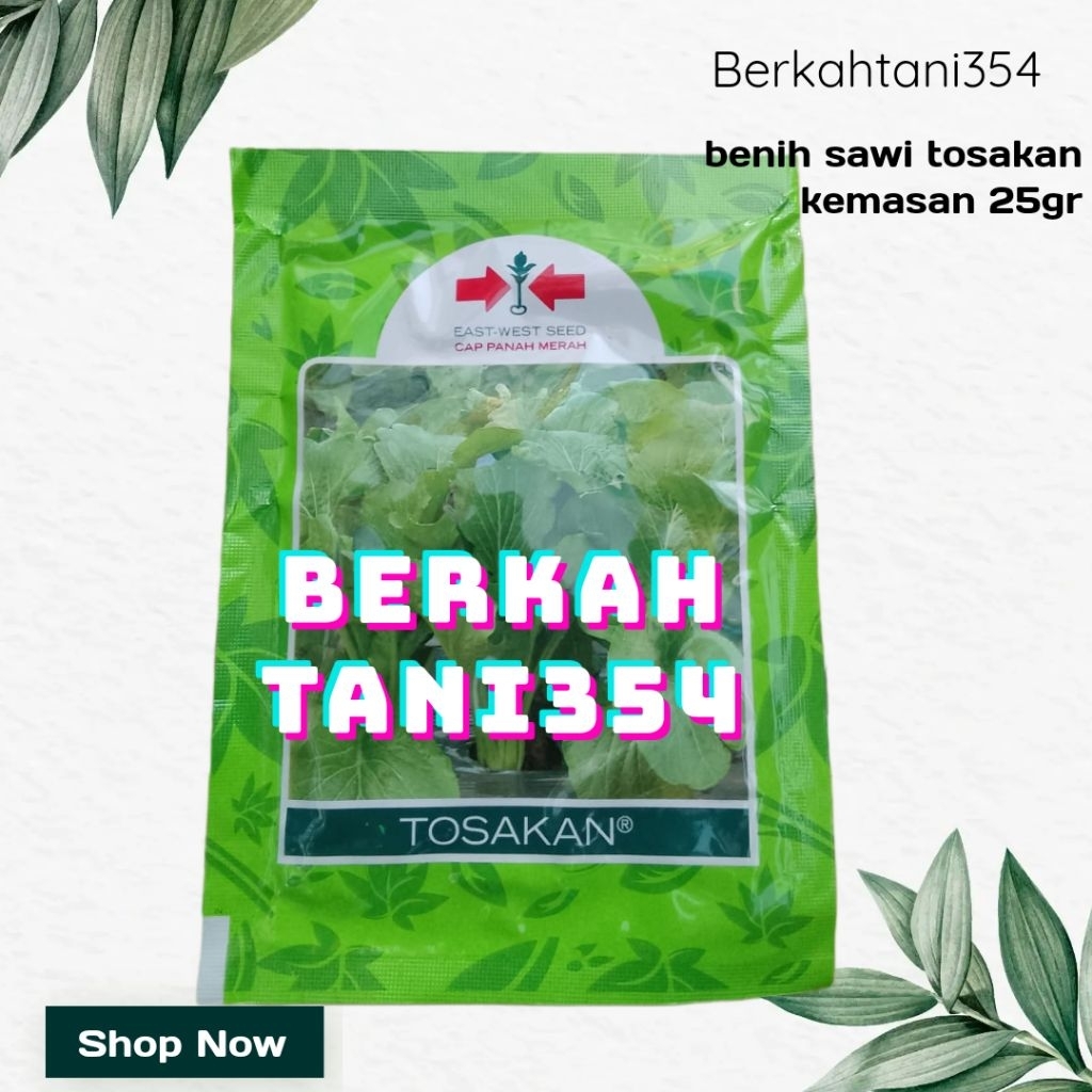 Benih sawi tosakan 25gr tosakan sawi