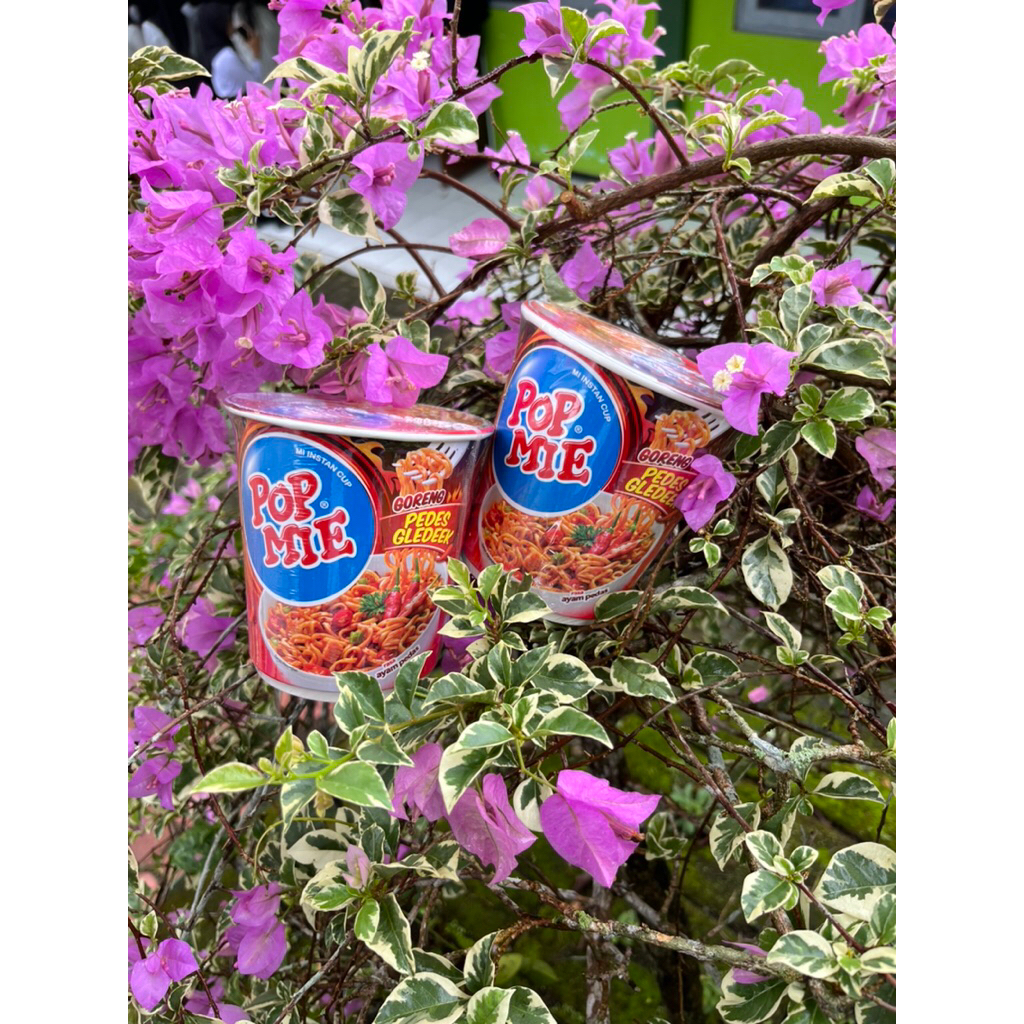 

POP MIE Goreng Pedes Gledek