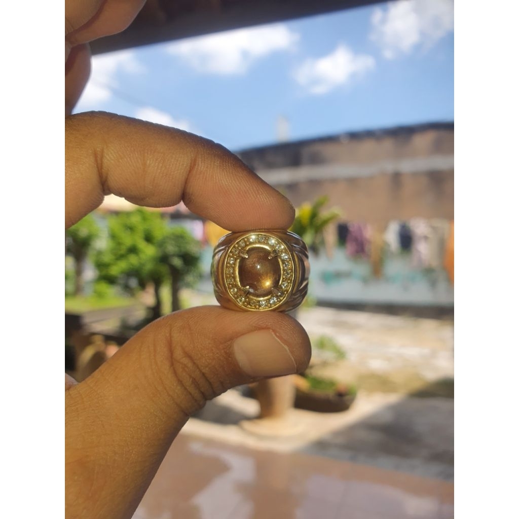 NATURAL GOLDEN STAR BROWN SAPPHIRE 12 RAY (BANGSING BRAHMA) NTE RARE