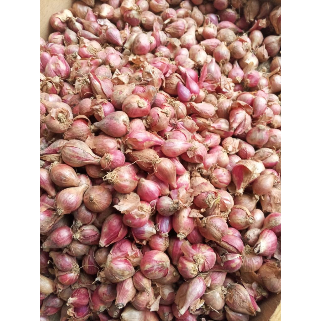 

bawang merah.bawang putih