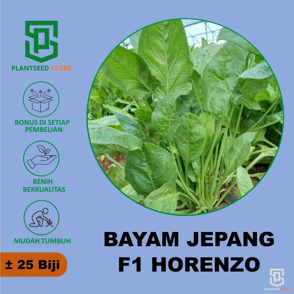 PlantSeed - 25 Benih Bibit Bayam Jepang F1 Horenzo Bibit Sayuran Unggul